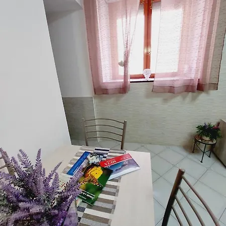Butterfly Apartment Meta