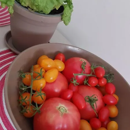 Appartement Butterfly *