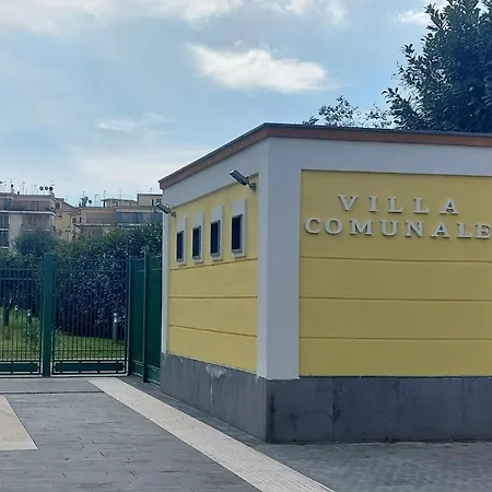 Butterfly Apartment